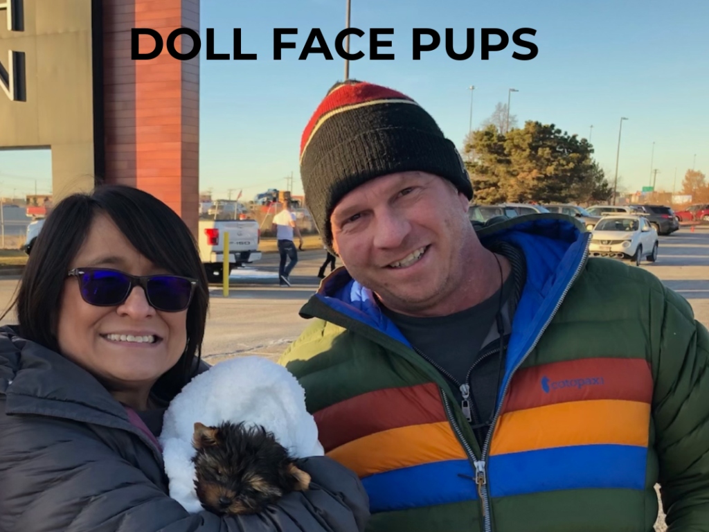 Happy family picking up their Doll Face Pup