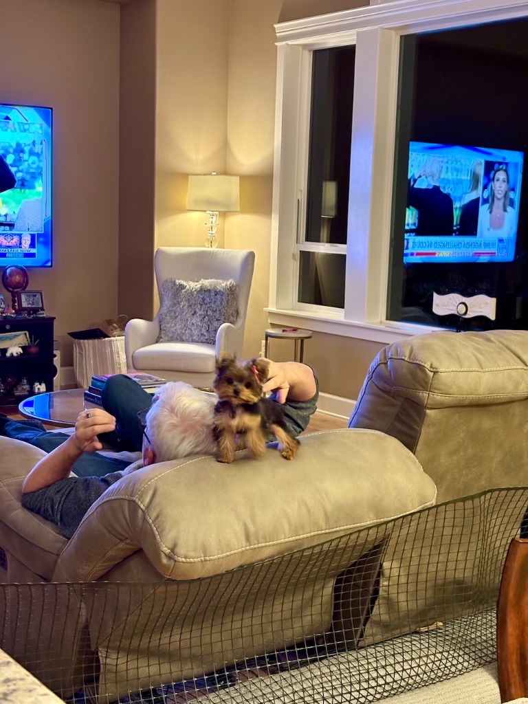 Doll Face Pup with family