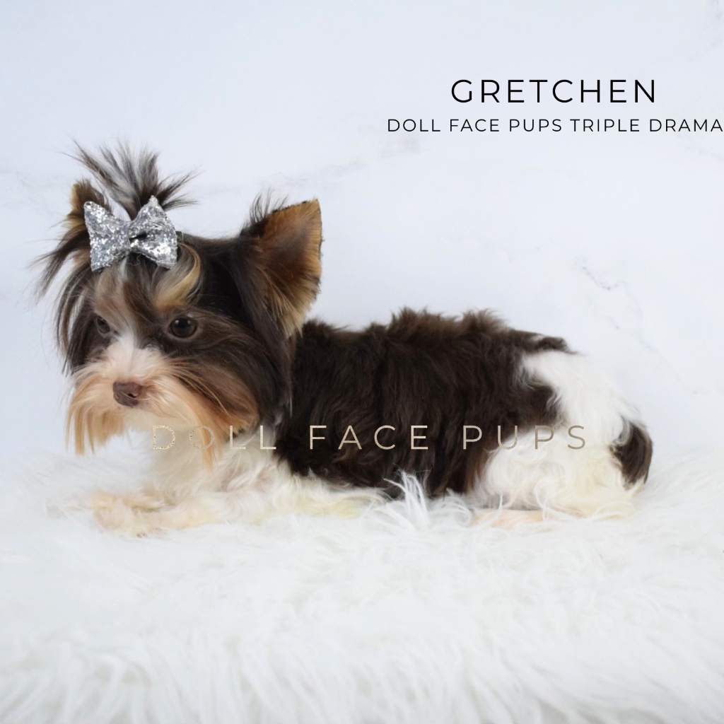 Gretchen gallery 1