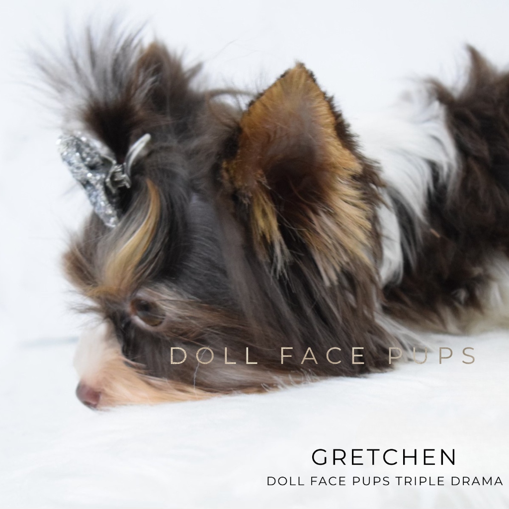 Gretchen gallery 2