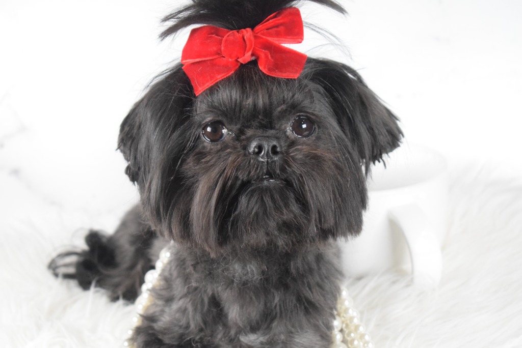 Millie