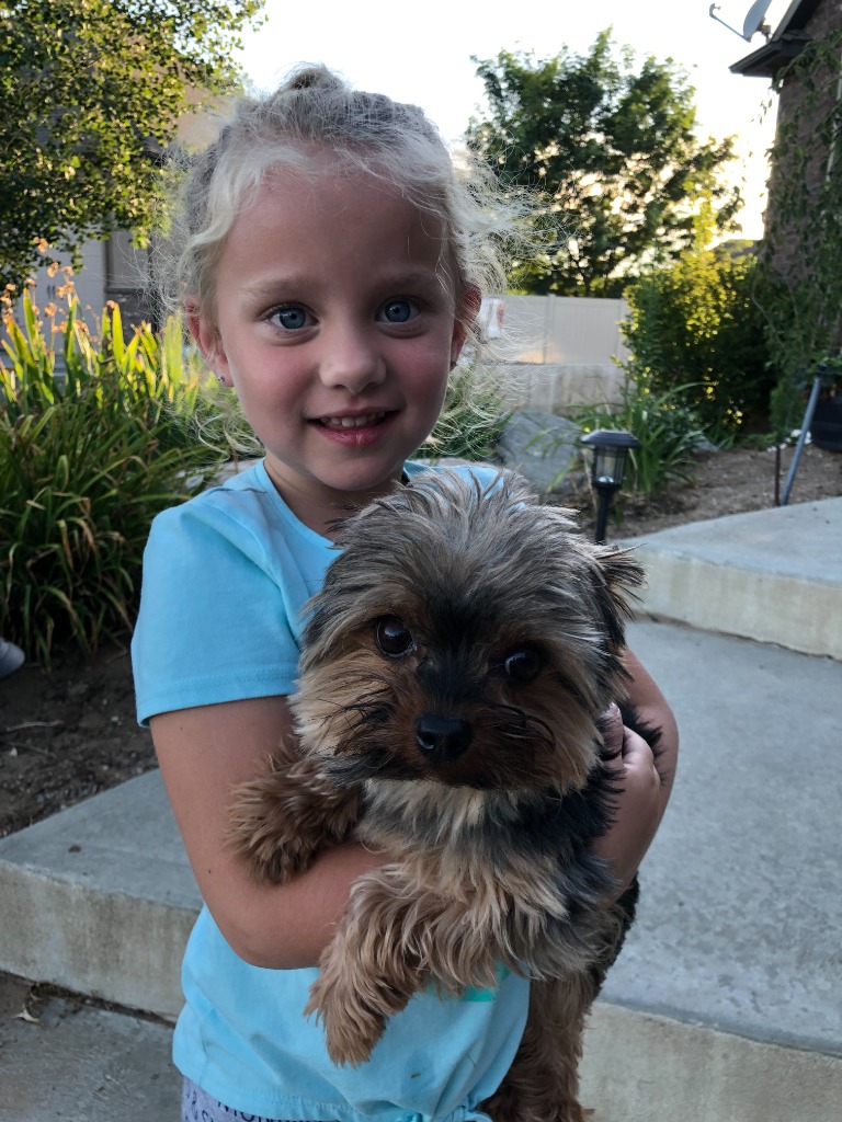 Tucker – Grand Finale 1
