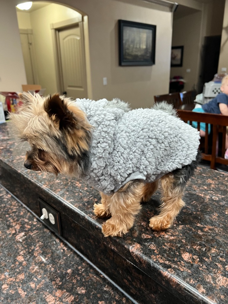 Tucker – Grand Finale 3