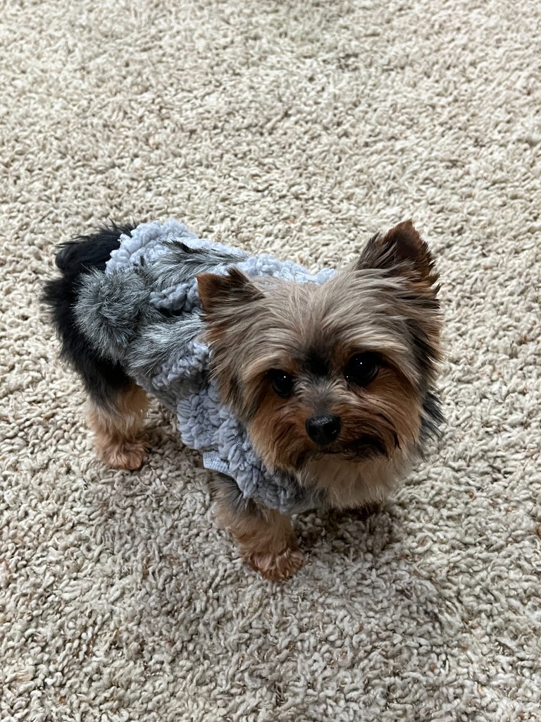 Tucker – Grand Finale 4