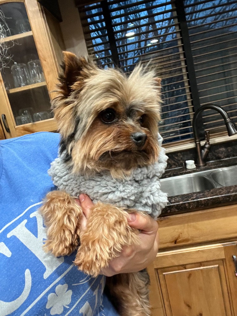 Tucker – Grand Finale
