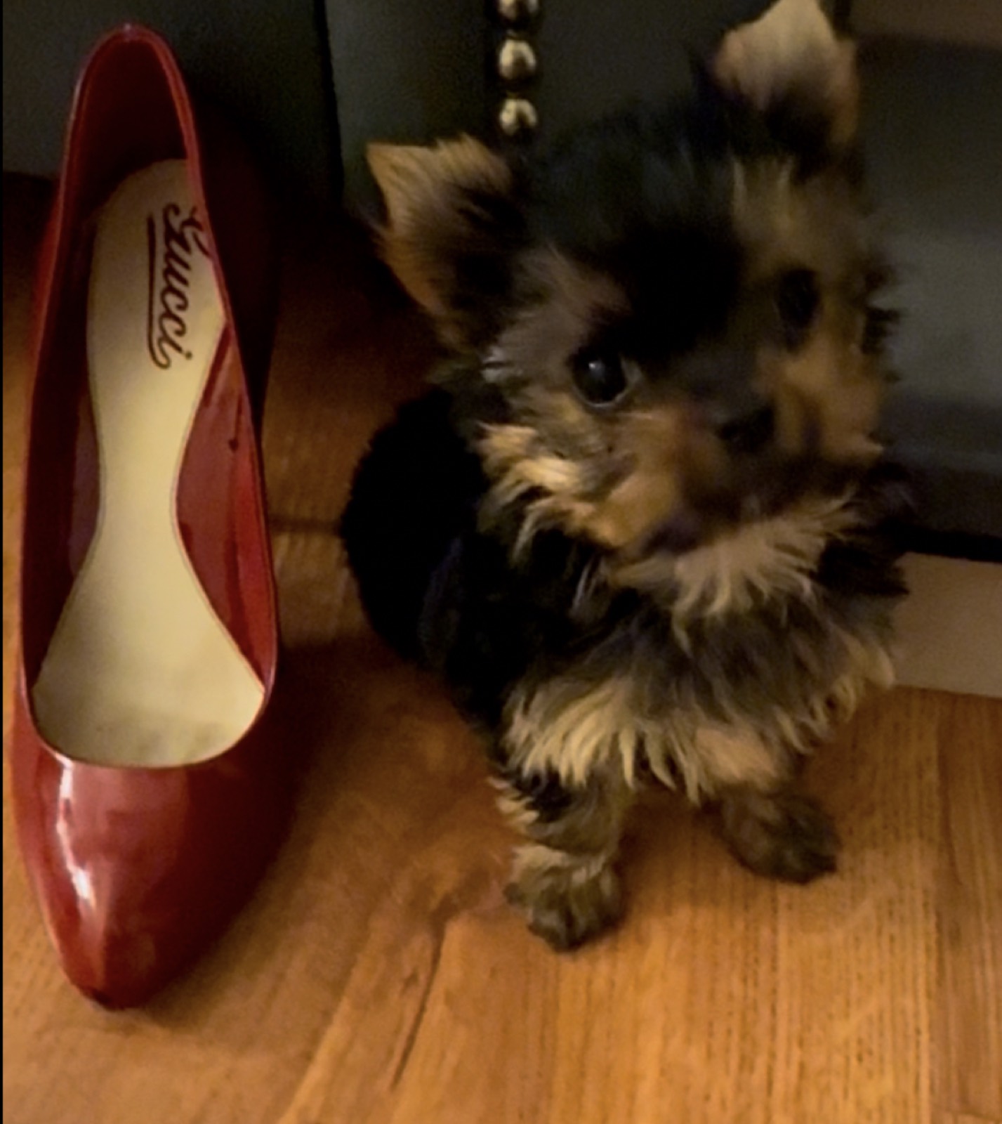 Benson photo 9