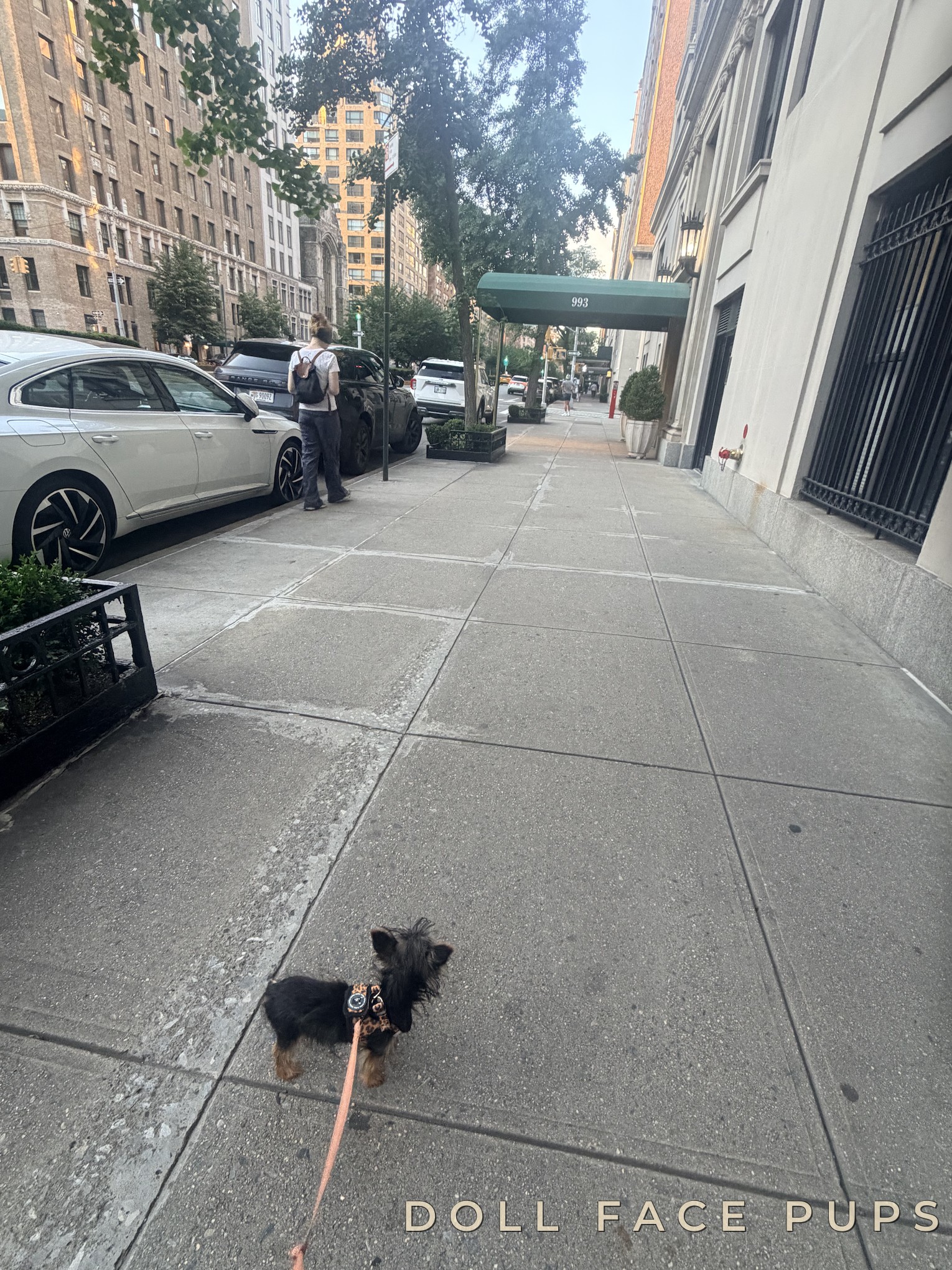 Back in Manhattan for the summer.