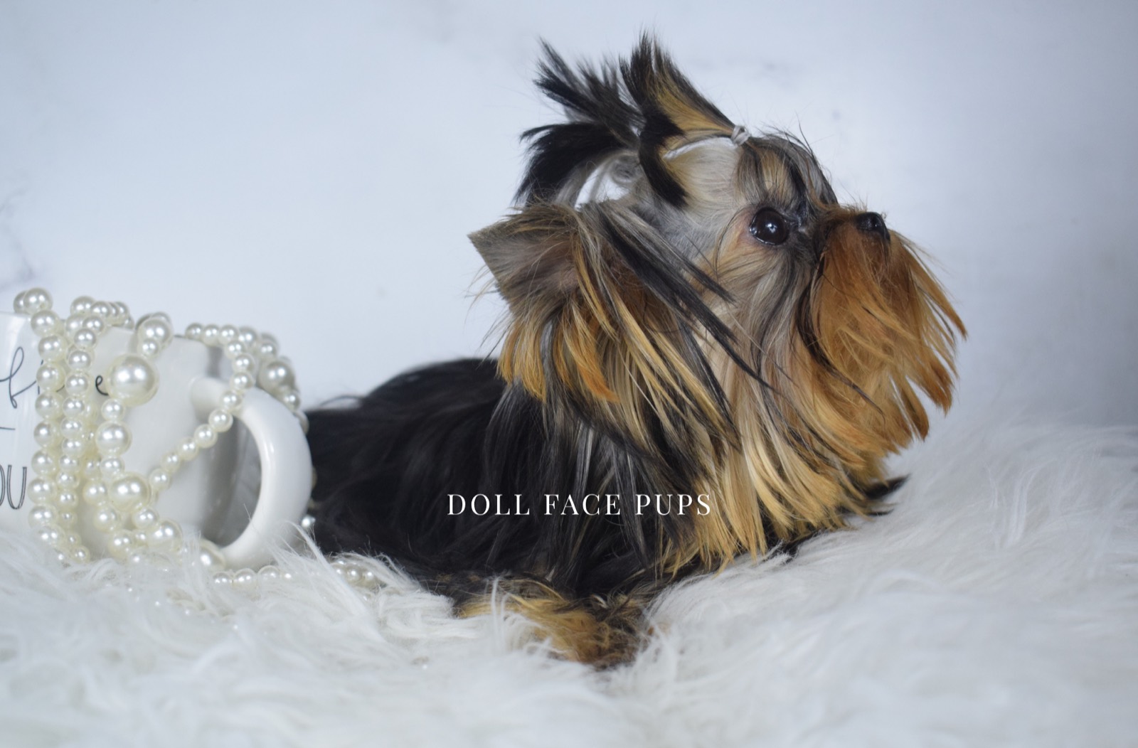 Persephone photo 23