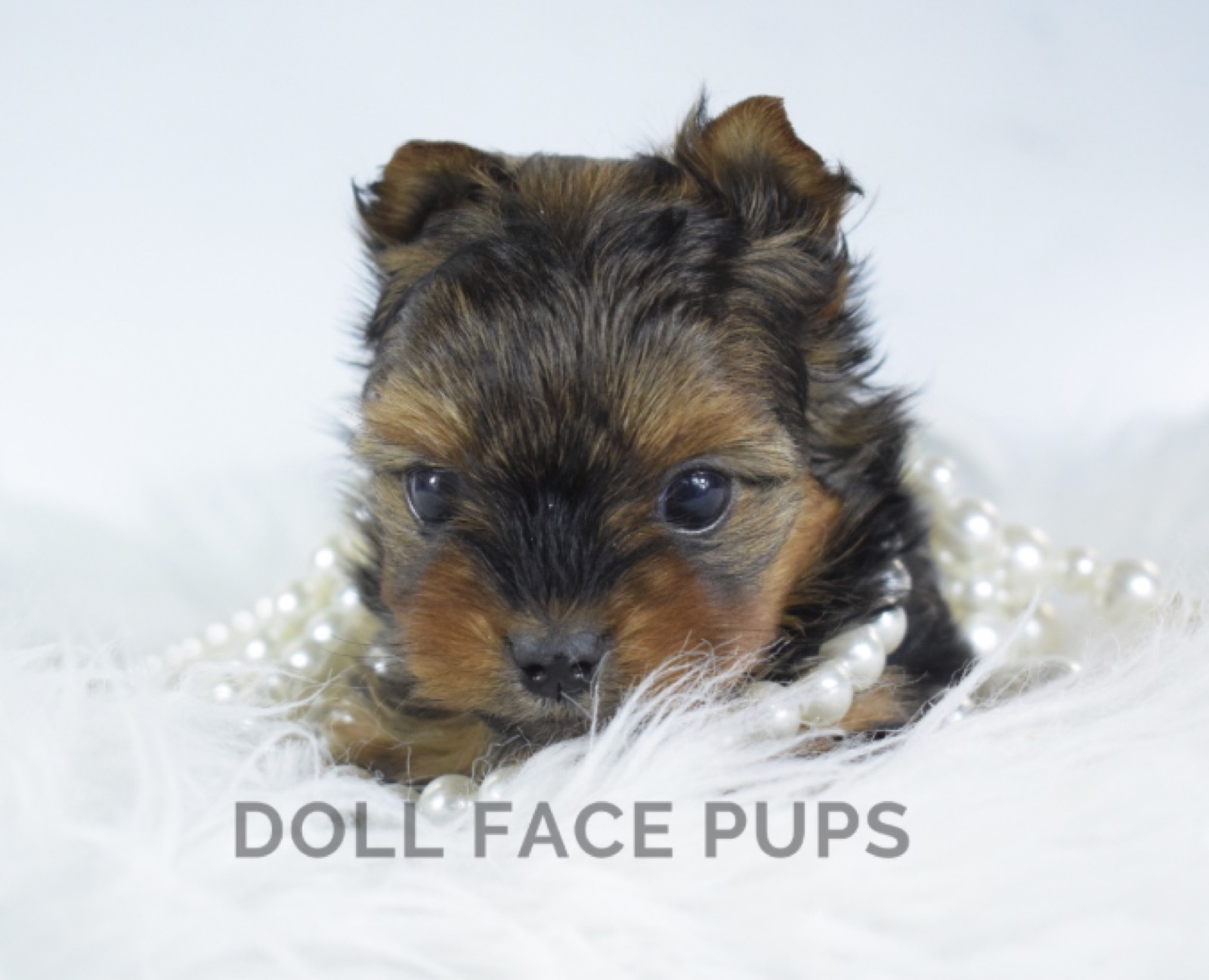 Molly Mae photo 1