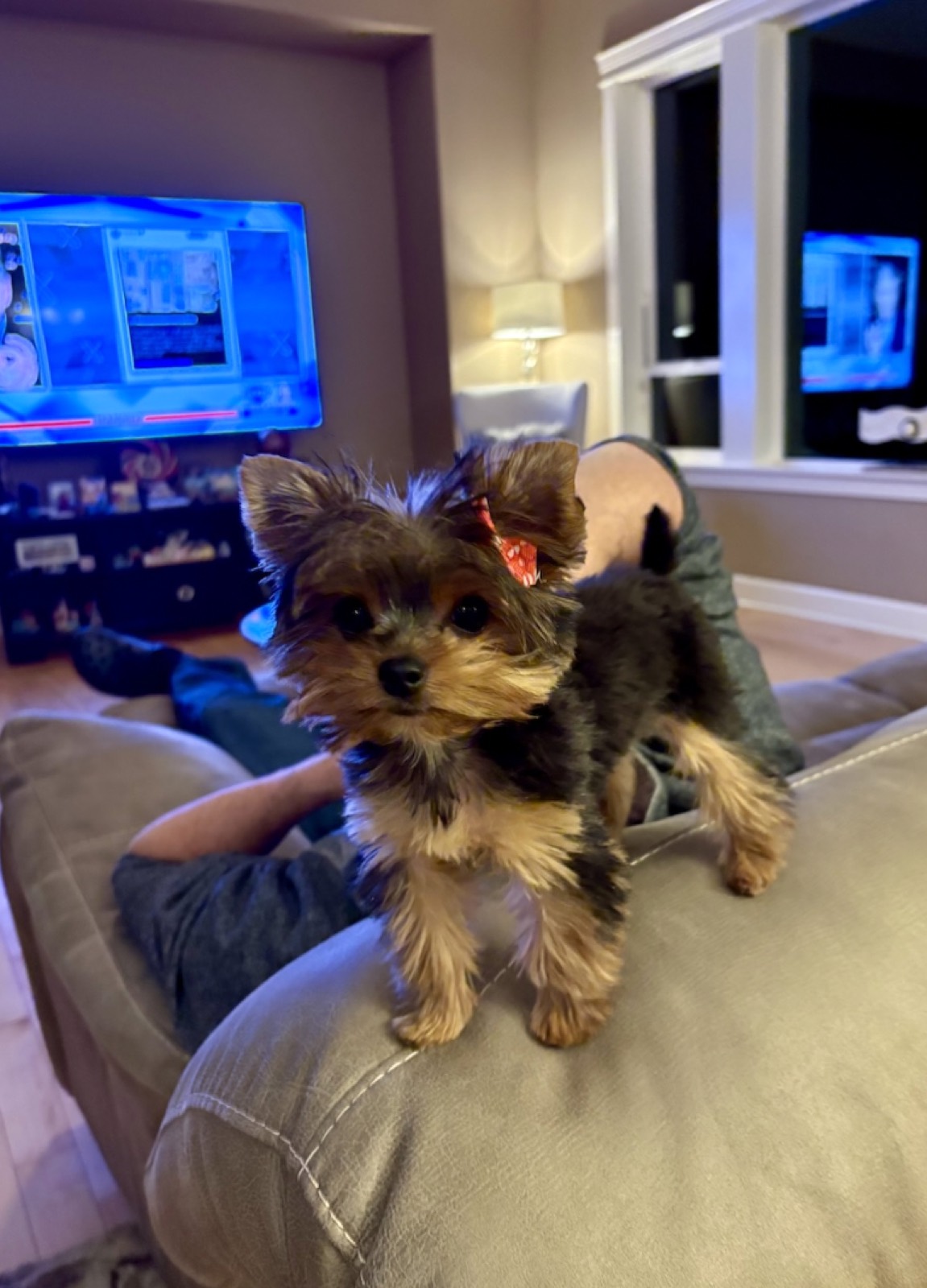 Molly Mae photo 5