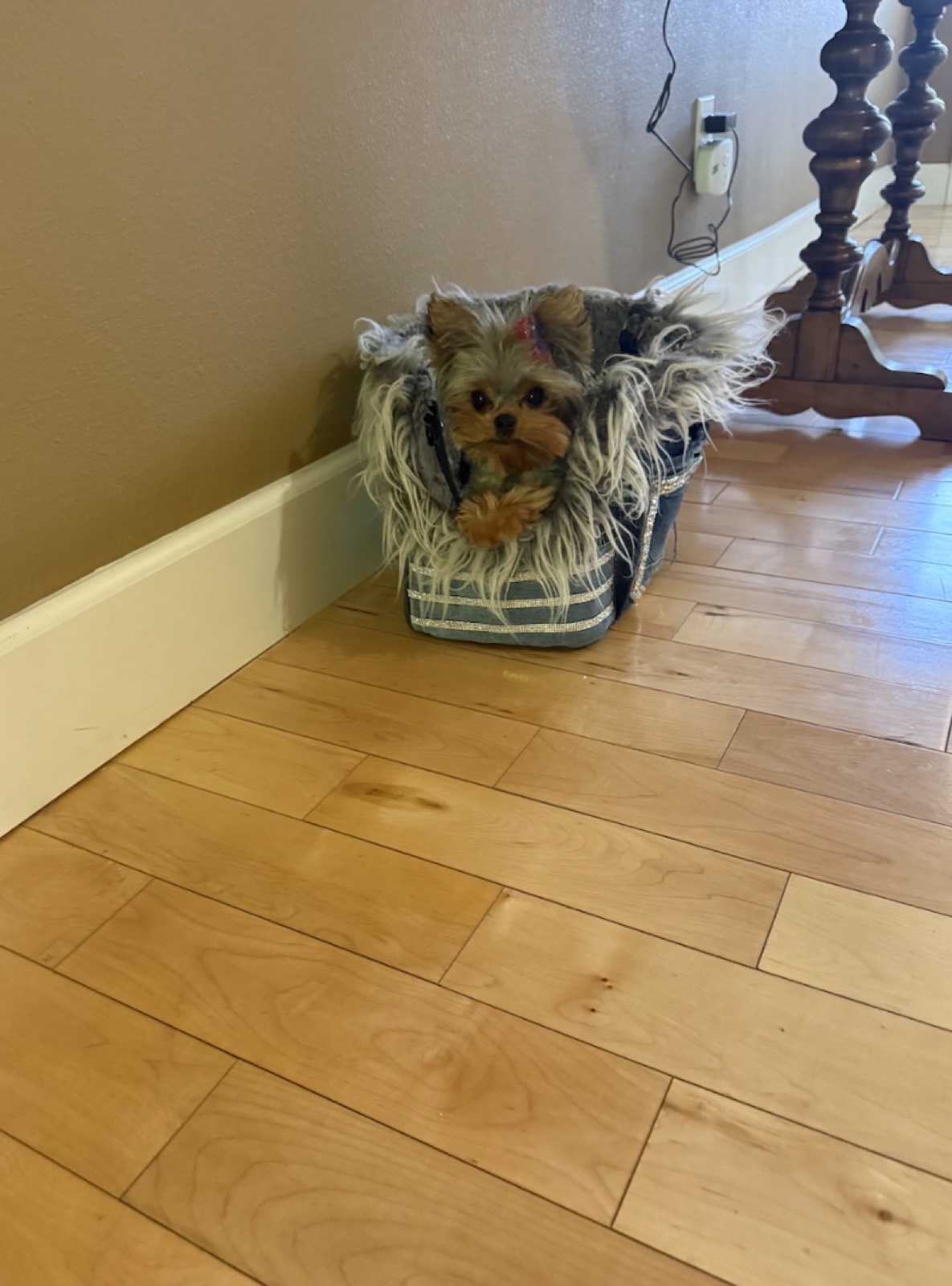Molly Mae photo 6