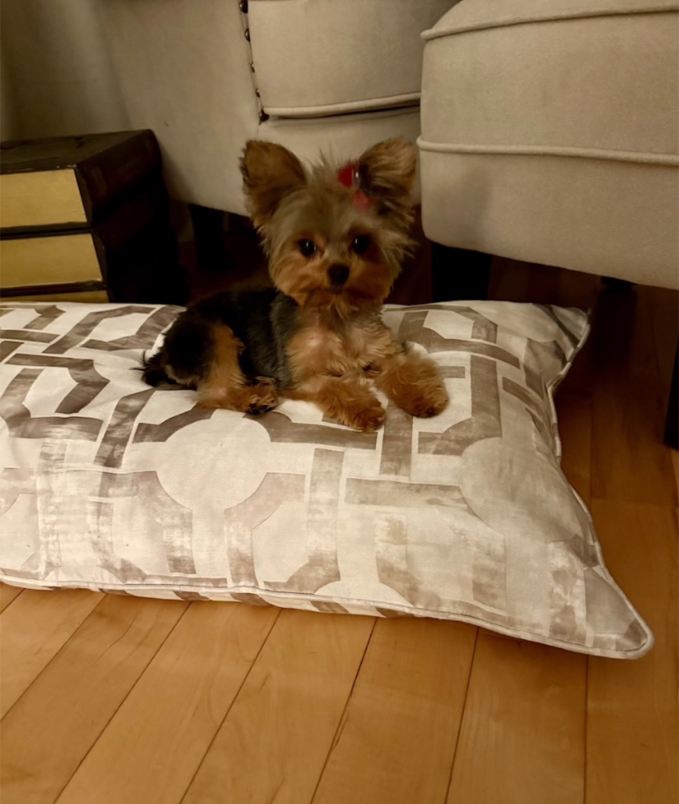 Molly Mae photo 7