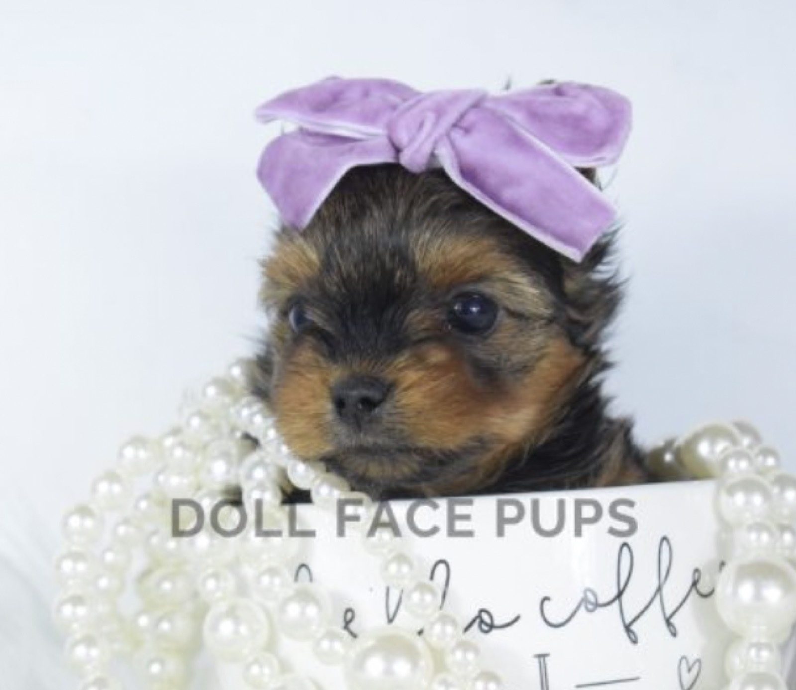 Molly Mae