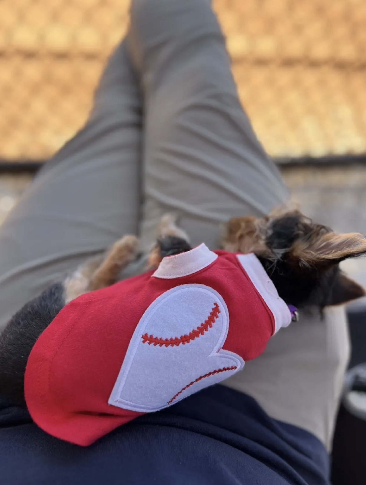 Penelope photo 6