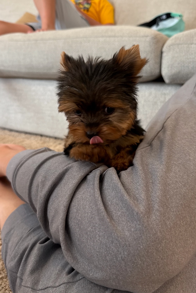First days home — the sass is real 😄