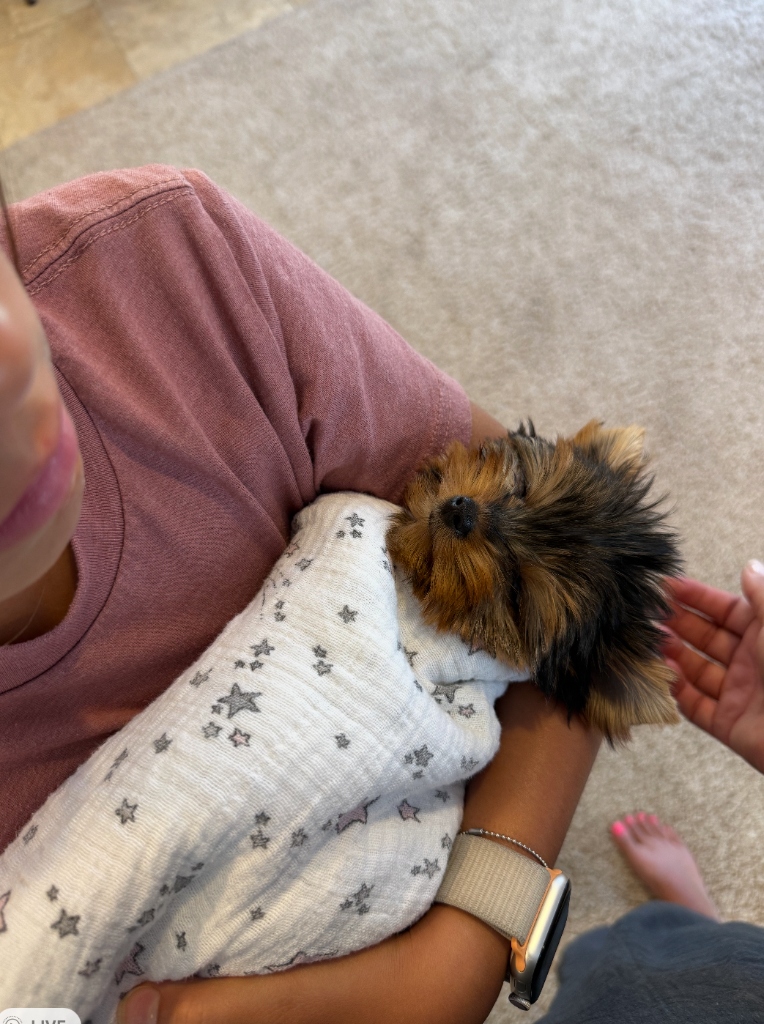 Snuggled in with the family