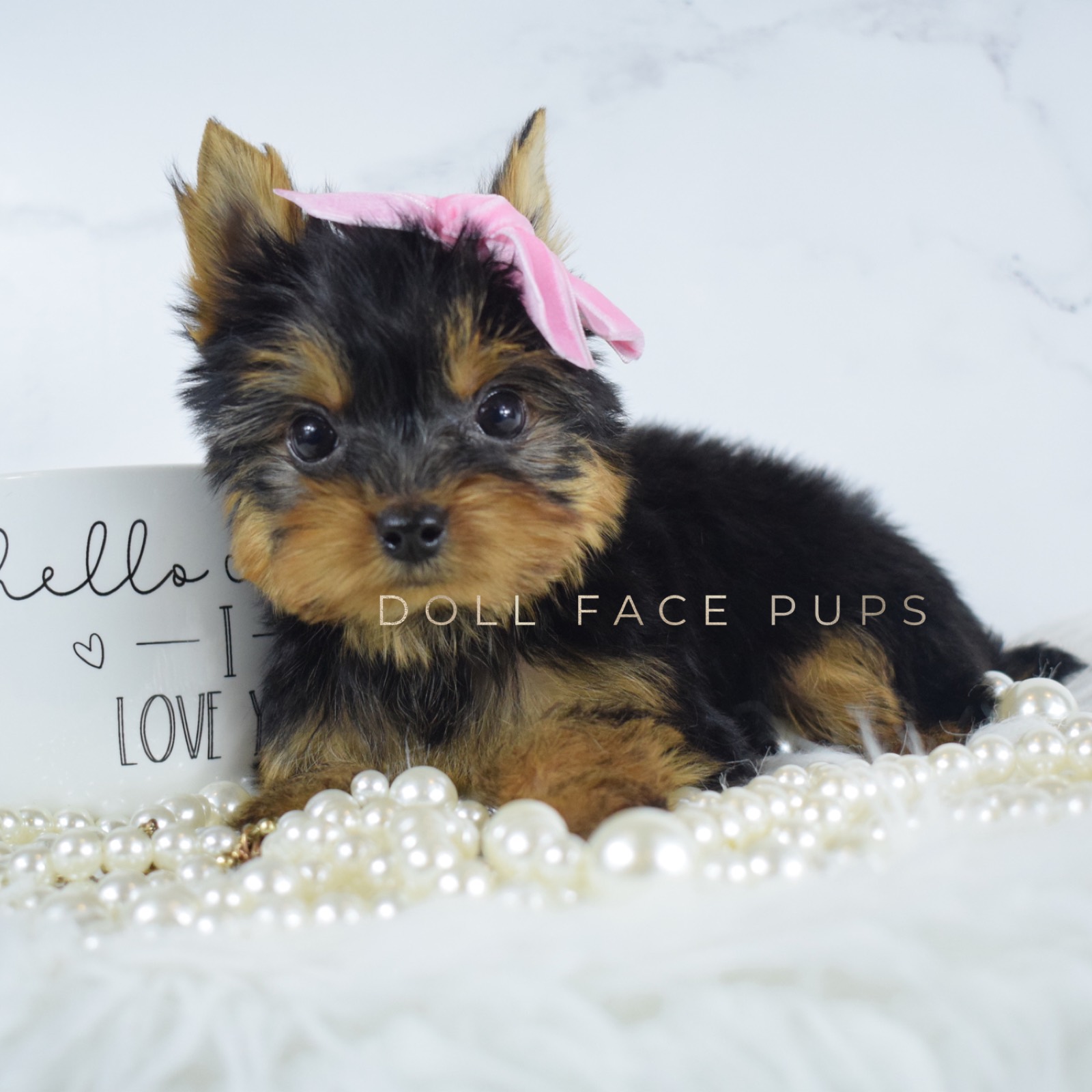 Princess photo 1
