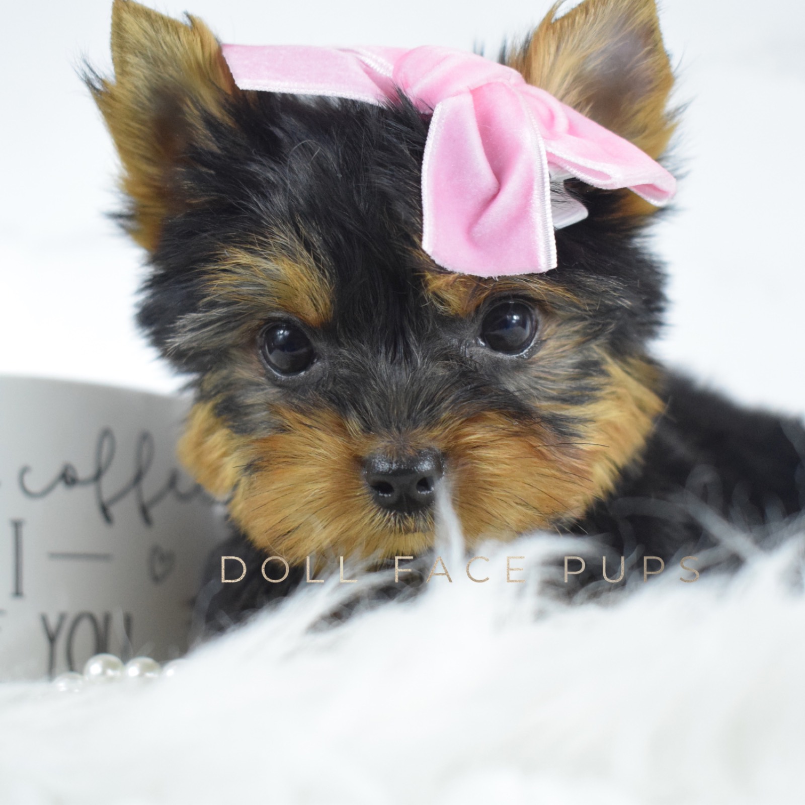Princess photo 2
