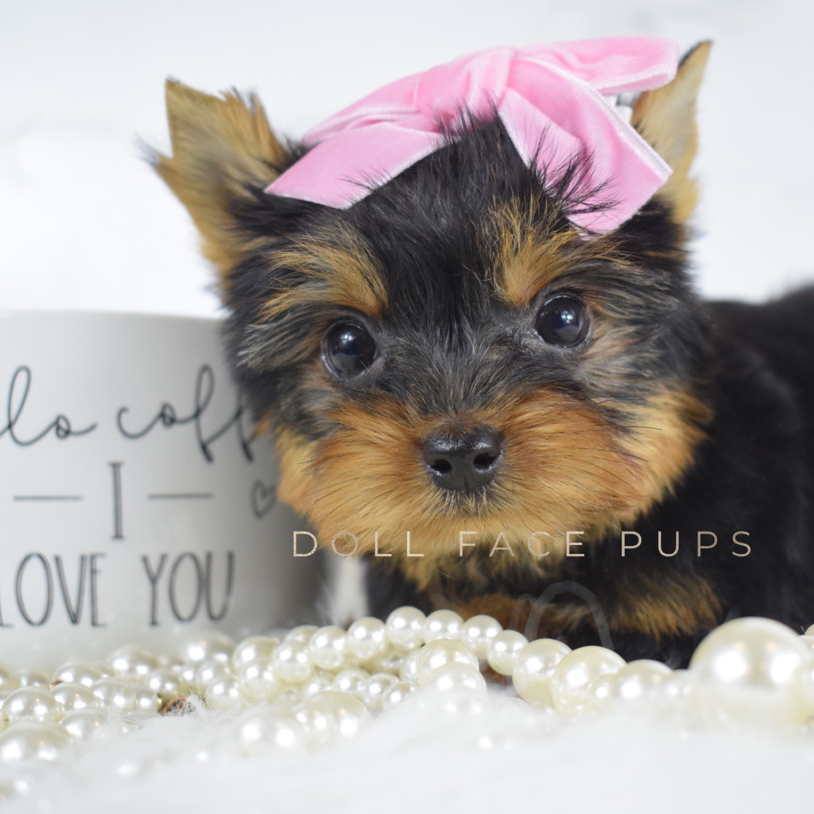 Princess photo 3