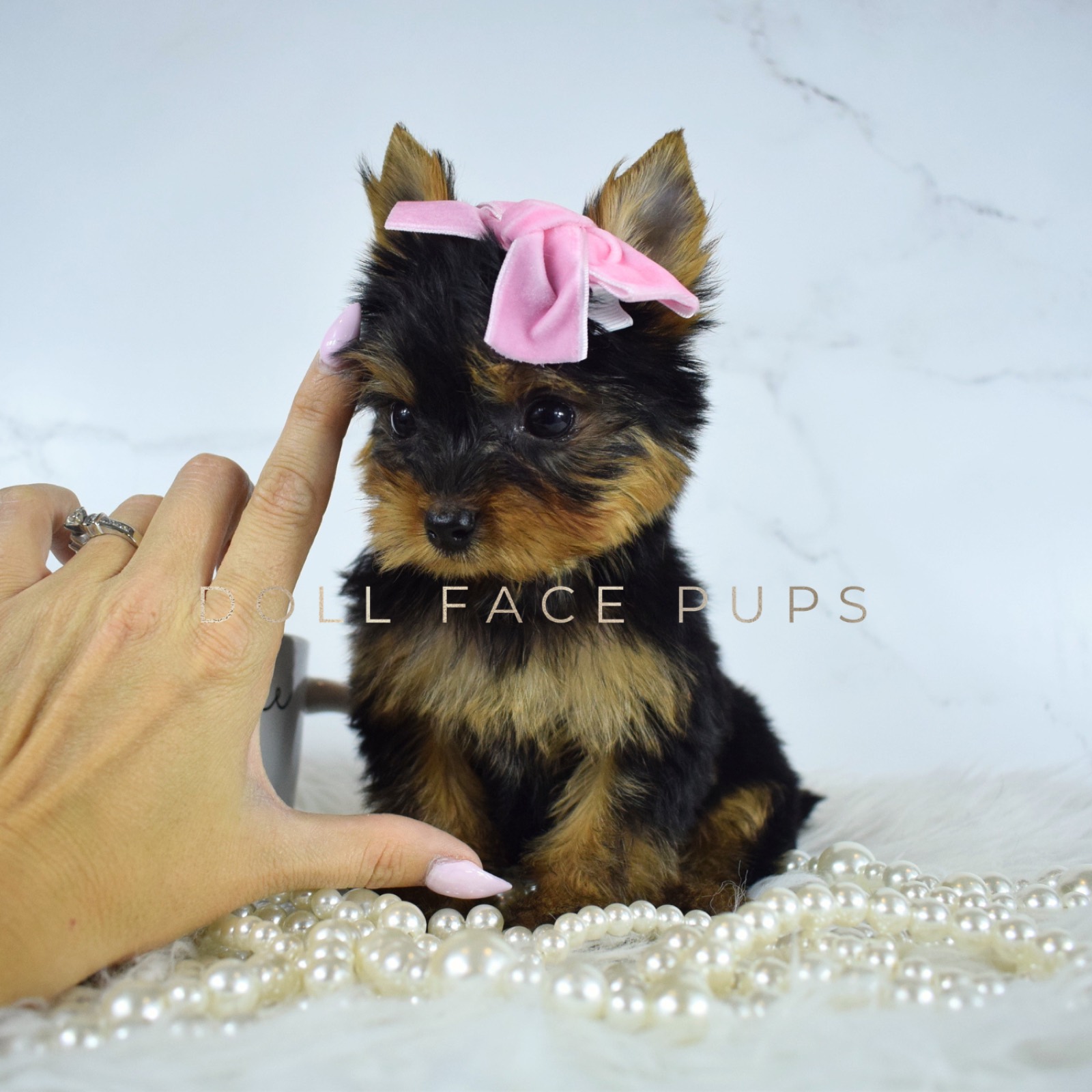 Princess photo 4
