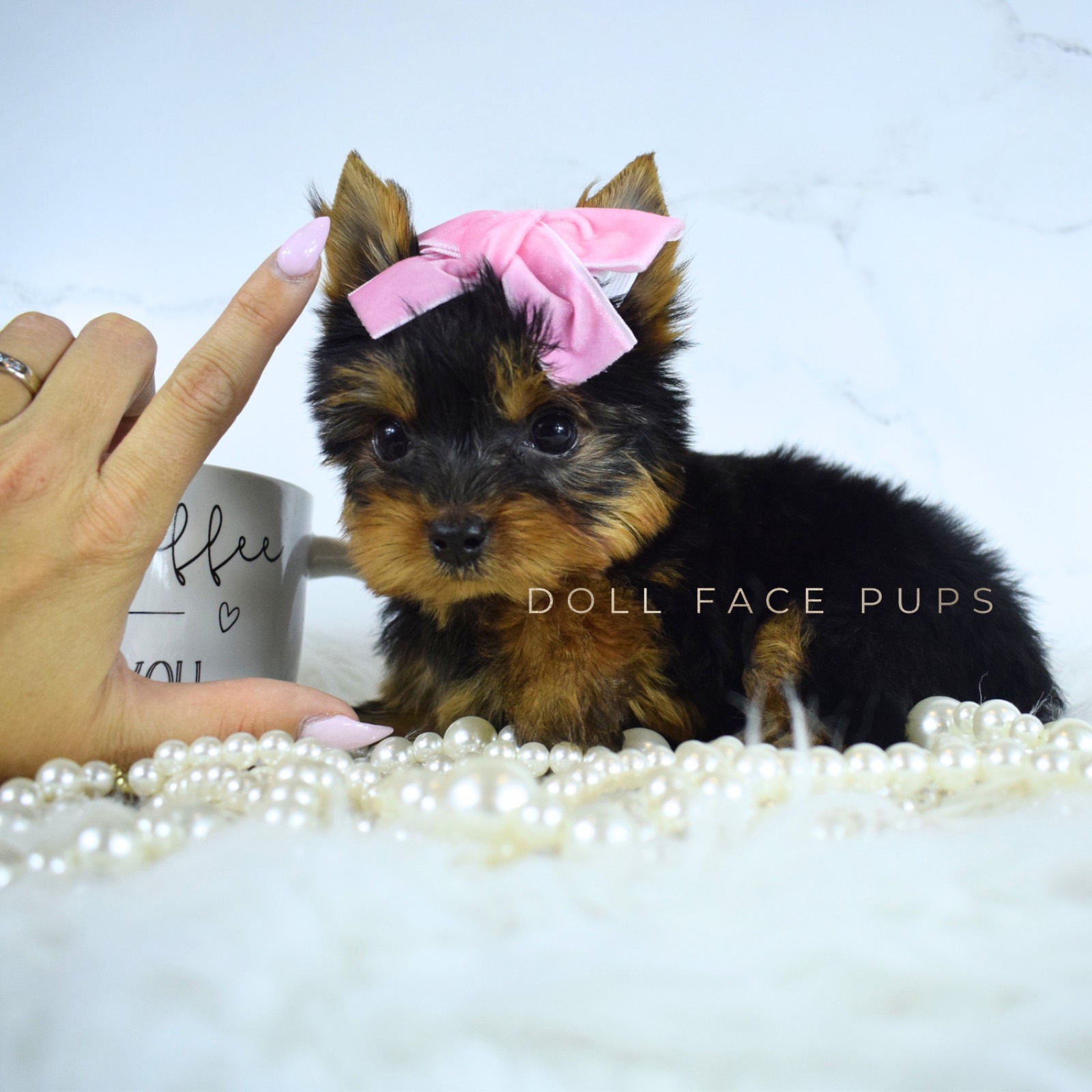 Princess