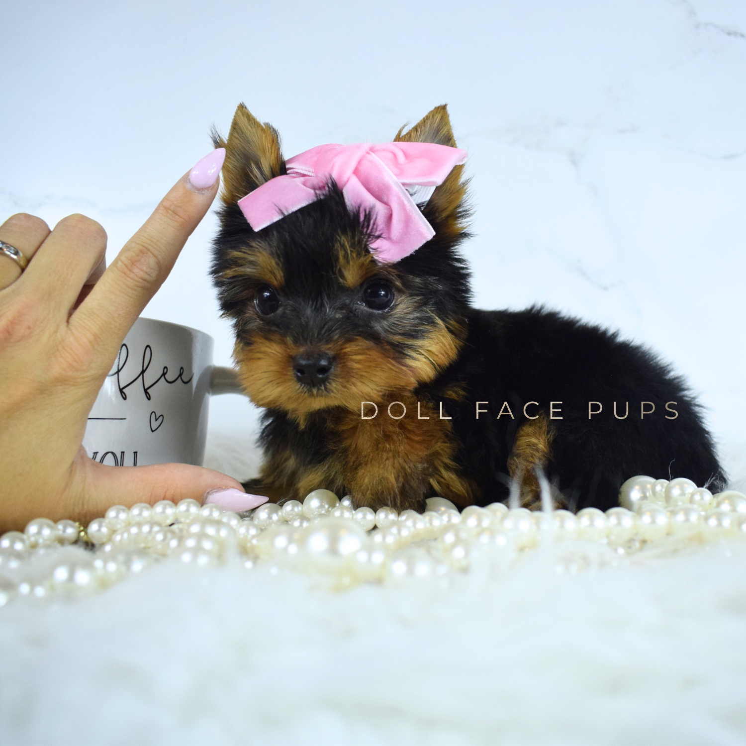 Princess